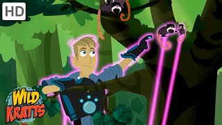 Martin and the Emperor Tamarins Have Been Captured! | Wild Kratts by Wild Kratts - 9 Story 76,551 views 1 month ago 3 minutes, 25 seconds