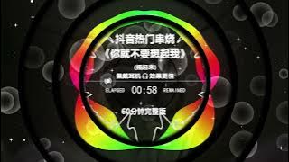 抖音伤感情歌DJ串烧《你就不要想起我》| TikTok热榜深情女声Remix 2025完整版