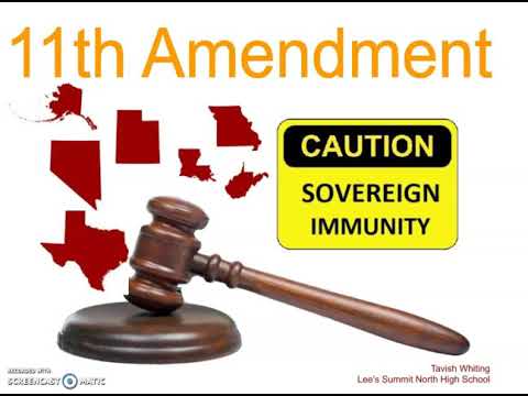 Eleventh Amendment - Quick Review - YouTube