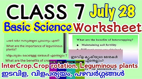 Class 07 Victers Basic Science July 28 Worksheet|class 7 victers worksheet|kite victers worksheet