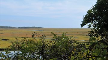 Fort Hill - Eastham, MA