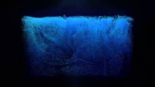 Realflow Krakatoa C4D Animated Test