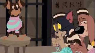 Tom and Jerry 2016 # 56 توم وجيري من اجمل حلقات الكرتون مضحكة 2016 كامل ضحك بلا حدود