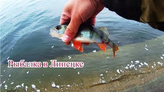 Рыбалка В Липецке На Отводной | Матырское Водохранилище