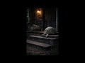 A War That Ain’t Mine - OLIVIA  | Brumoria Studio