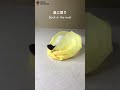カカオマングースの巣 Nest of Cacao mongooses