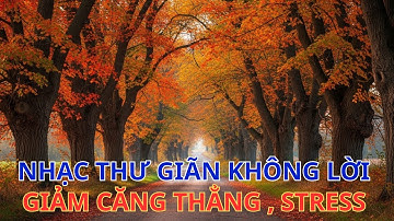 Nhạc Không lời Thư Giãn, Giảm Lo Lắng, Stress Giúp Ngủ Ngon