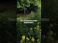 пожилой родителей нуждается в заботе детей #родителидети #родителиидети #уважение #семьявместе #душа