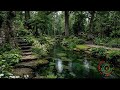 Sound Relaxation Therapy Rain for Emotional Healing