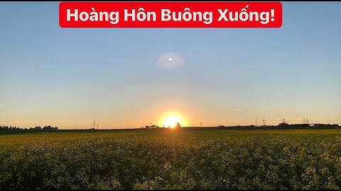 HOÀNG HÔN BUÔNG XUỐNG TRÊN NƯỚC ĐỨC! | Vlog 78