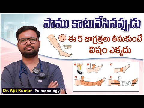 పాముకాటు జాగ్రత్తలు | Snake Bite Precautions in Telugu | First Aid for Snakebite | Ashwini Hospital