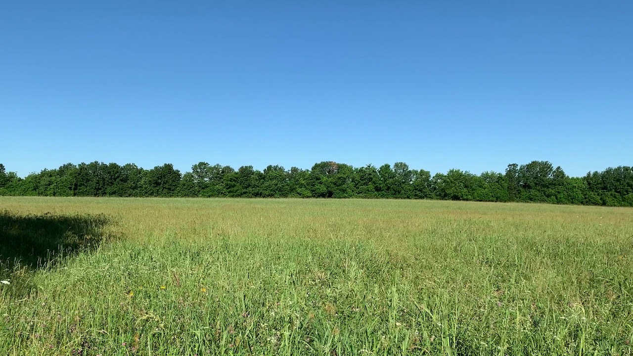 Cook land and realty YouTube