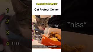 Cat being idiots part 108: Cat protect owner 🤣 #funnycat #funnypet #cutecat #cat #pets #shorts