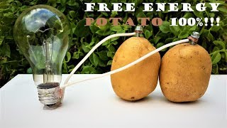 Free Energy Light Bulbs - 220v using Potato