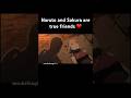 Naruto And Sakura Are True Friends 