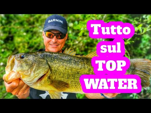 Video: Quando usare le esche Topwater per i bassi