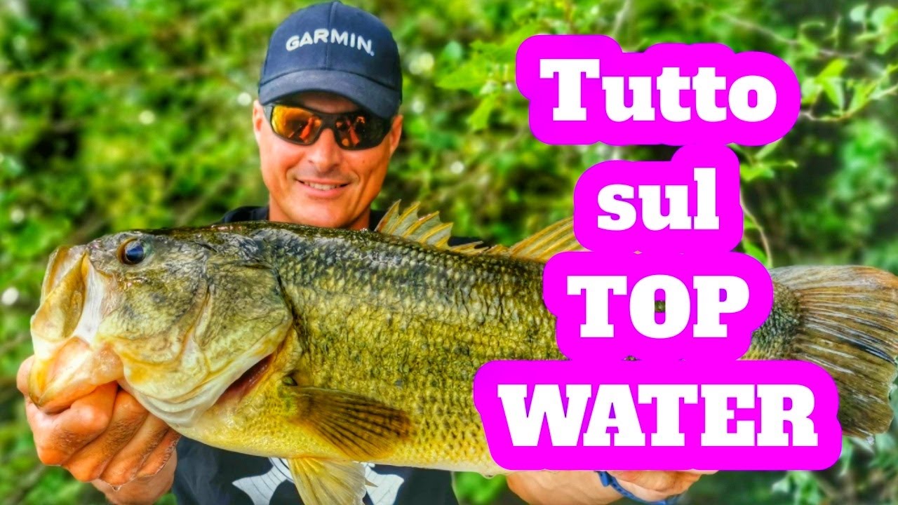 BASS FISHING : TUTTO sul TOP WATER al black bass by Luca Quintavalla