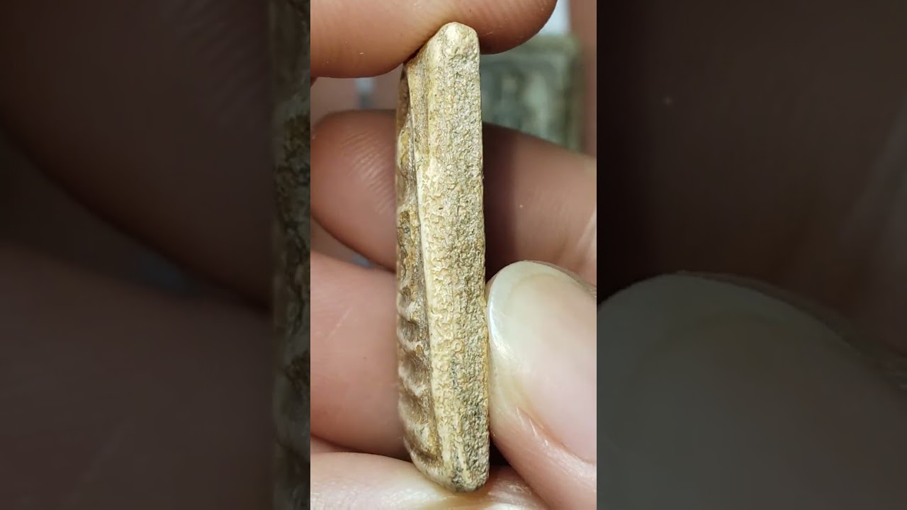 Ep.817วันที่05/03/69💥1 องค์ 300 บาท💥2 องค์ 500 บาท☎️084-7211933🛻ส่งฟรี#พระเก่า #พระเครื่อง #พระบ้าน 