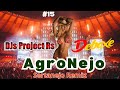 AgroNejo Remix Deboxe DJs Project RS Sertanejo Remix #15