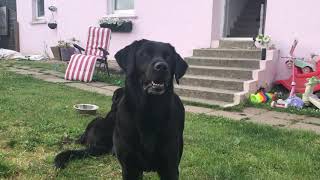 Jessica Valpied Ambers Adventures