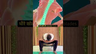 Upper Back Pain Relief Exercise | Shoulder Blade Stretch | Improve Posture &amp; Flexibility