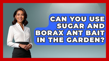 Can You Use Sugar And Borax Ant Bait In The Garden? - Insects and Invaders