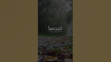 آية رقم 60 من سورة النحل { أَمَّنْ خَلَقَ السَّمَاوَاتِ وَالْأَرْضَ }#سورة_النحل