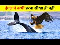 Eagle कैसे बनता हैं आसमान का बादशाह | The Incredible Journey of an Eagle in Hindi