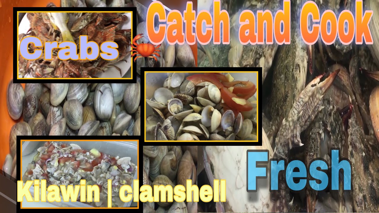 How to Catch and cook Crabs and Clamshell YouTube