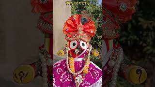 Joy jagannath ❤️#shorts #feed #shortvideo #shortreels #likeforlikes #views #100likes #viral