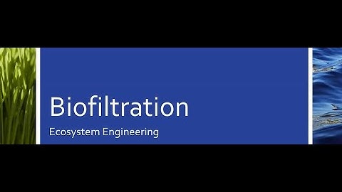 Zoom Science Room // Biofiltration