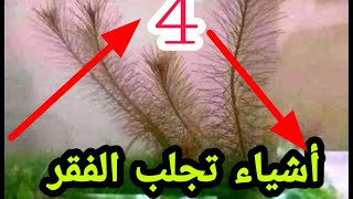 4 أشياء إذا فعلتها تجعلك فقير طول عمرك //نصائح هامة يجب عليك معرفتها