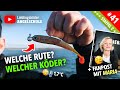 HECHTANGELN - Welche Rute? Welcher Köder im Winter?