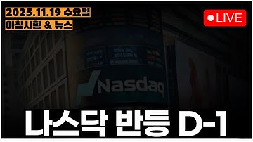 엔비디아 실적발표 24시간 전ㅣ[아침시황&미국마감] #251119