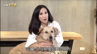 中天【生活百分百】人物專訪單元OBO寵物會館-五星級寵物美容 ...