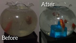 Tips for making clear water | Tips Bikin Air Jernih di Aquarium Bulat | Fish Bowl