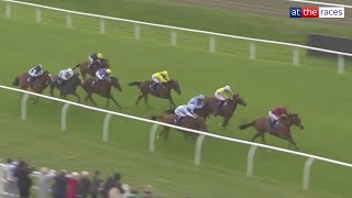 Kameko's second winner! | DEL RAY strikes on debut at Lingfield