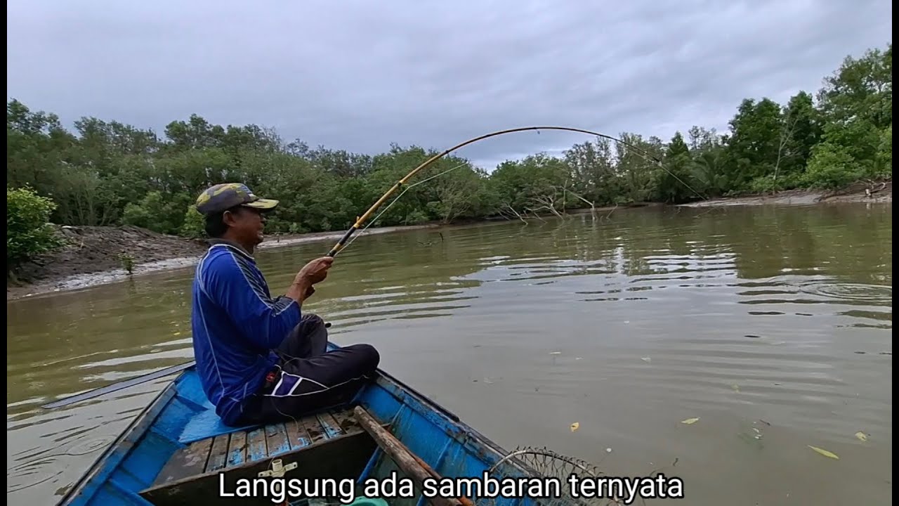 Spot air dangkal ternyata dihuni ikan Bumblebee besar,ikan Barramundi,ikan Trakulu dan kakap Tompel