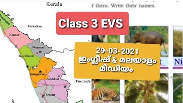 Class 3 EVS 29-03-2021 ഇംഗ്ലീഷ് & മലയാളം മീഡിയം
