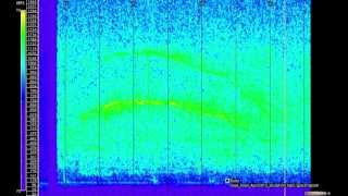 Iowa howl April2013 study