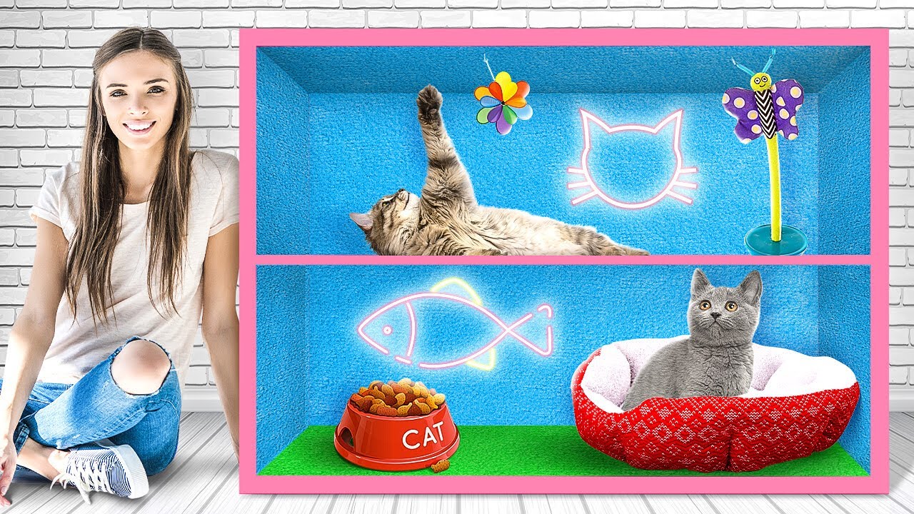DIY CAT HOUSE Best Crafts And Gadgets For Your Pets