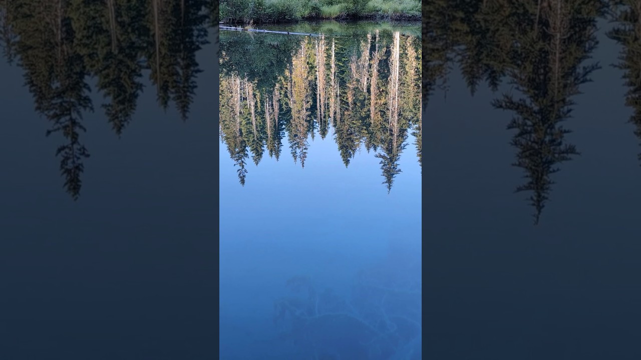 Тихоокеанский горный маршрут 2024 — День 106 