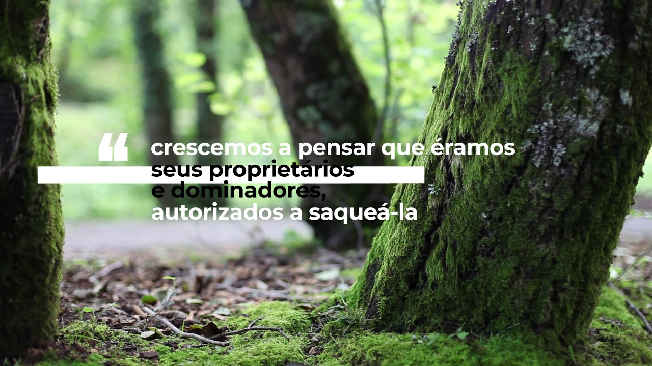 Laudato Sii O Mi Signore Testo