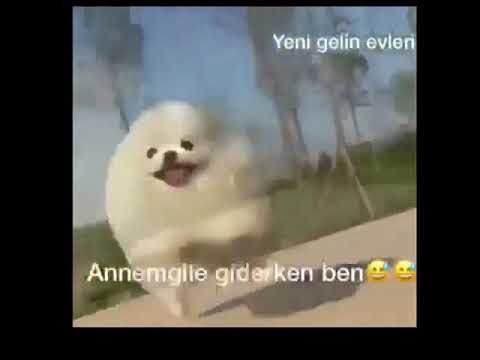 Annem gile giderken ben 😂😂😂-çok komik