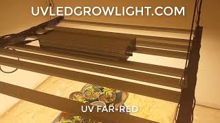 720W  -  UV LED GROW LIGHTS  640 W LED /  UV-FR "FAR-RED" 80W