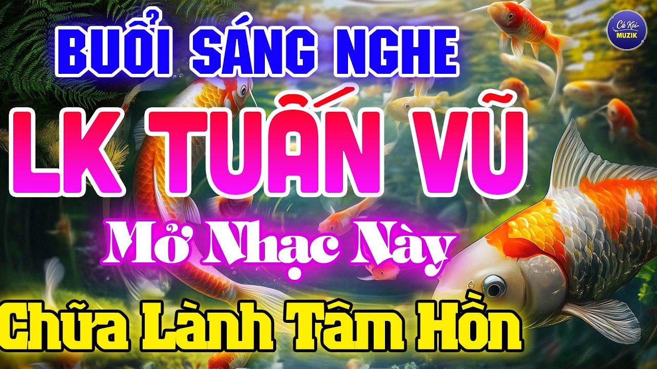 Đỉnh Cao LK Tuấn Vũ Không Lời Thư Giãn CHỮA LÀNH TÂM HỒN - Nhạc Hay Dễ Ngủ -Hòa Tấu Guitar Hải Ngoại