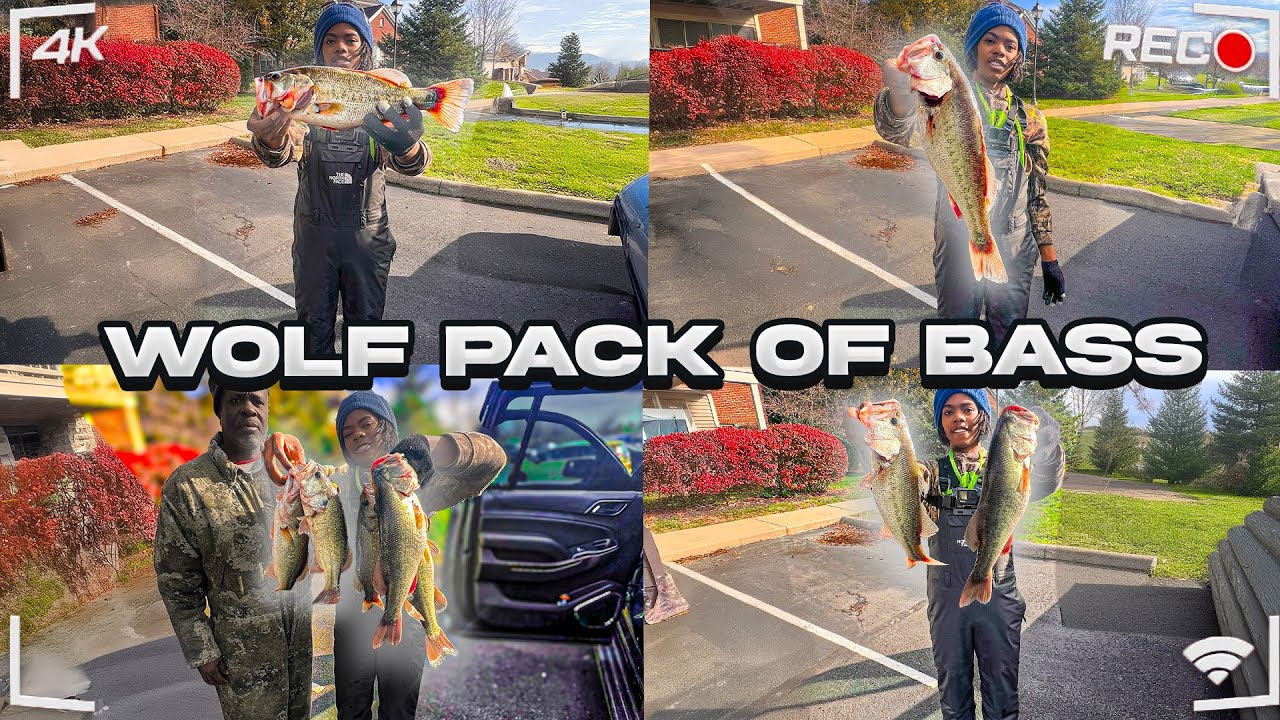 CATCHING A WOLF PACK OF BASS IN UNDER 6 MINUTES ON  A SPINNERBAIT