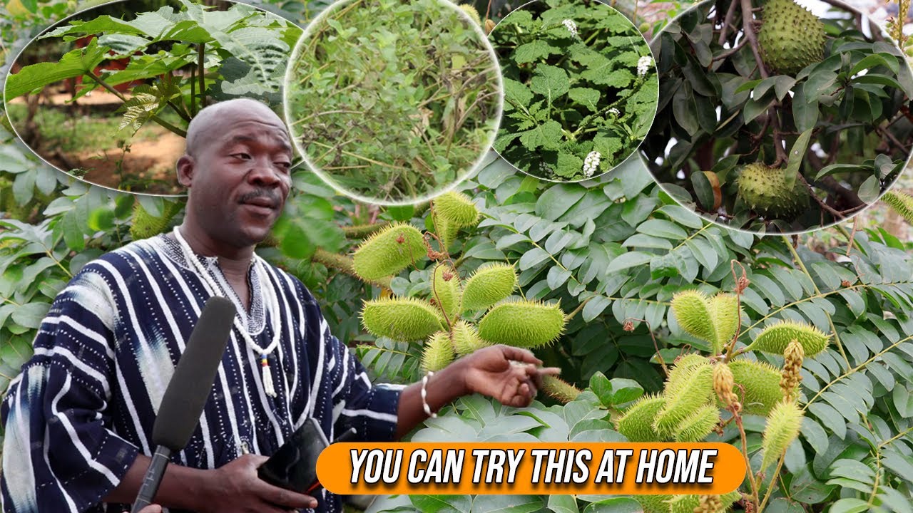 Powerful Herb Teachings || Try This And Say Thank You.