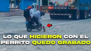 Motociclistas Salvan A Un Pequeño Cachorro Que Estaba En La Carretera Y Fueron Grabados
