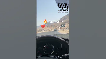حمزة نمرة عالم كدابة 